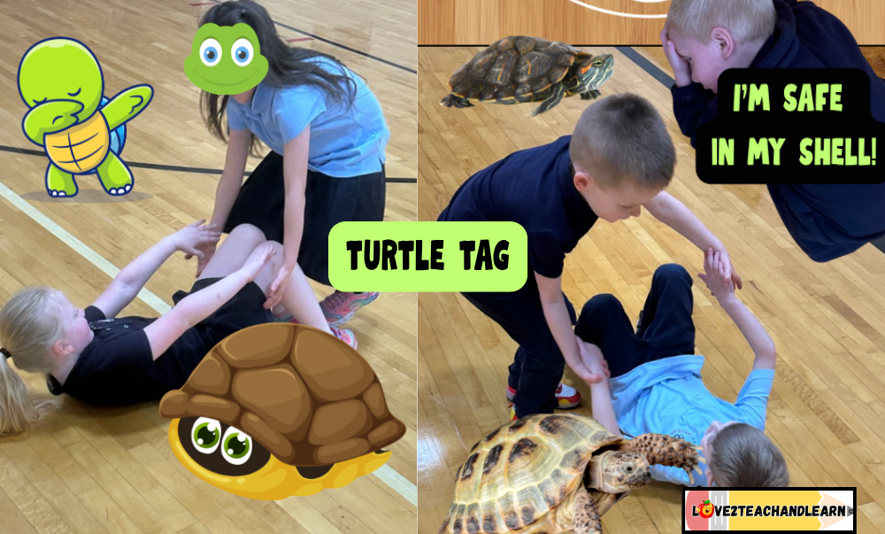 Turtles Tag PE Game - Love 2 Teach and Learn