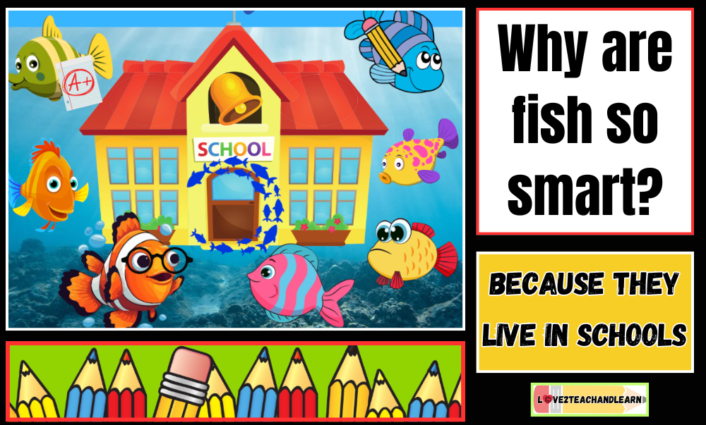 Why are Fish so smart? Kid Jokes