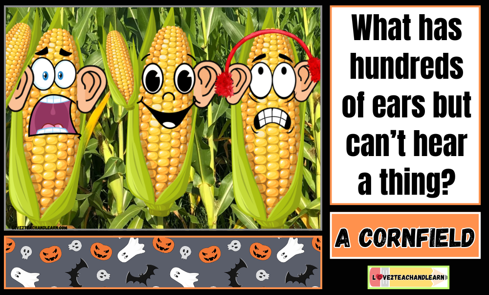 October Jokes for Kids - What has hundreds of ears but can't hear a thing?